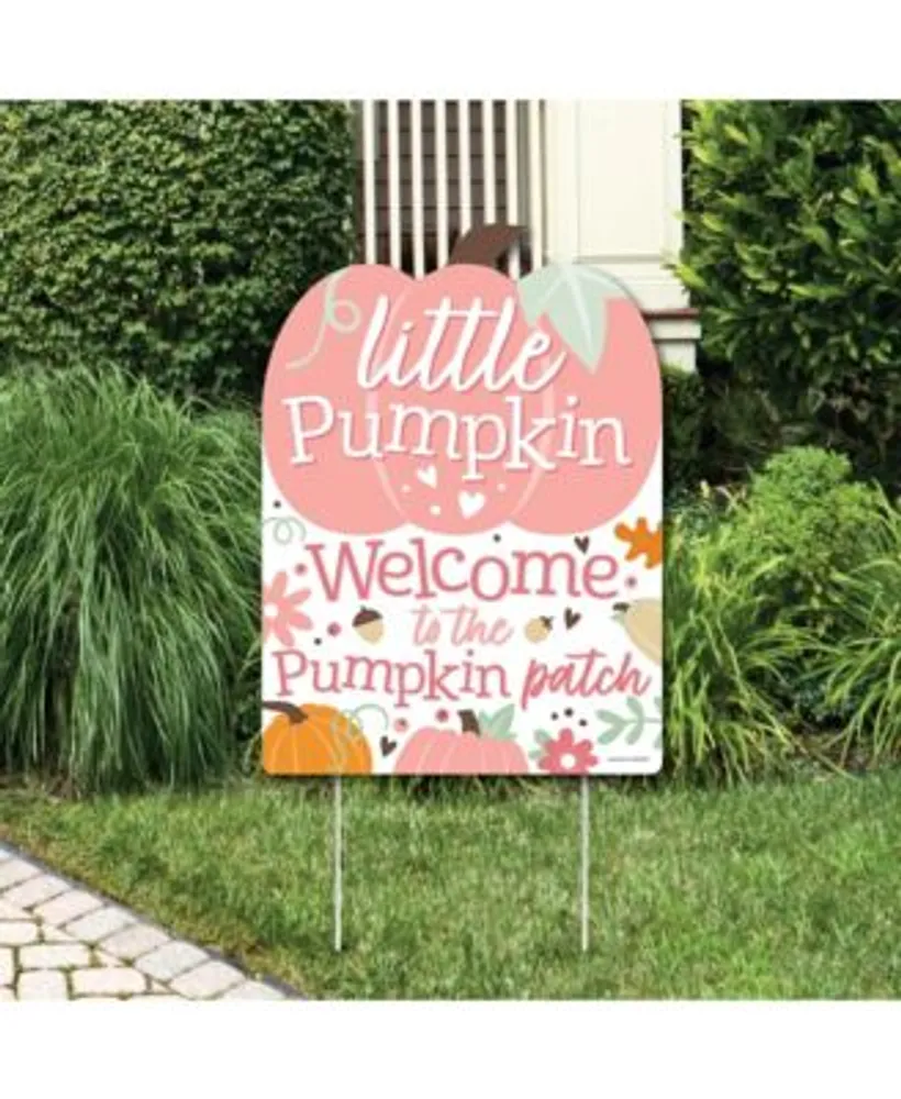 Big Dot Of Happiness Girl Little Pumpkin - Fall Birthday Party Or