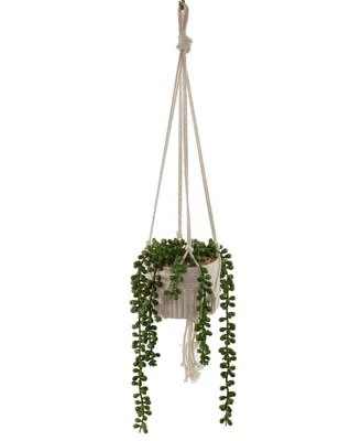 String of Pearls Macrame Hanging Ceramic Pot Donkey Tails