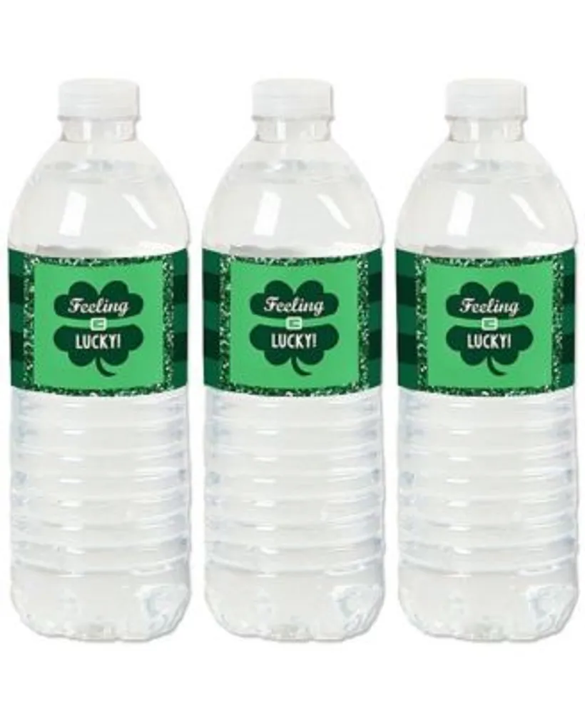 24oz Water Bottle | St. Patrick Logo