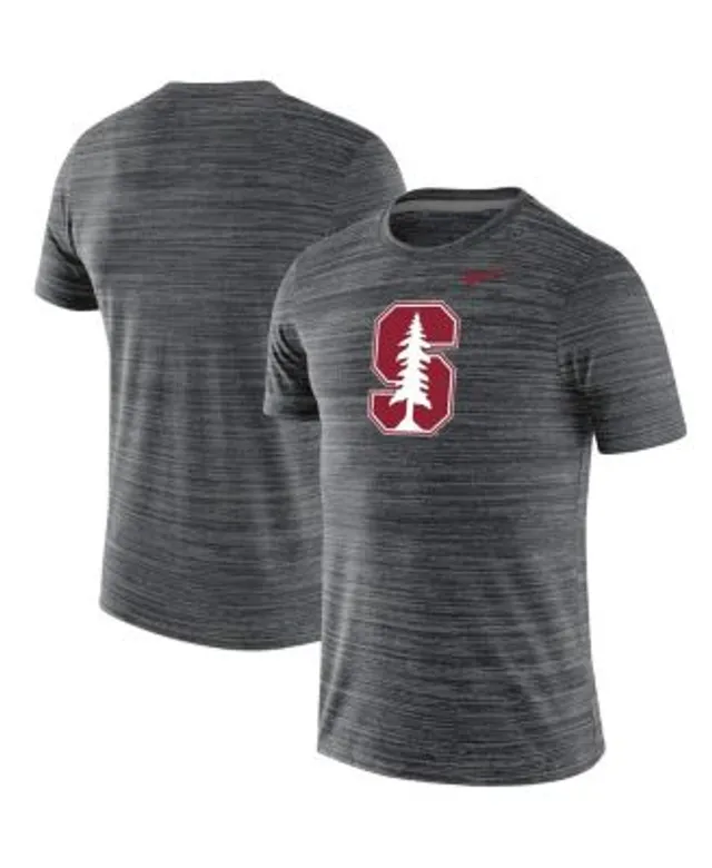 Men's Nike Cardinal Arizona Cardinals Icon Legend Performance T-Shirt