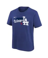 Youth Los Angeles Dodgers Freddie Freeman Nike Royal City Connect Name &  Number T-Shirt