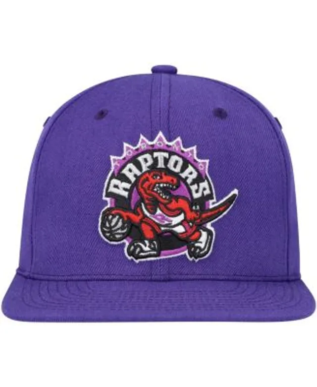 Toronto Raptors Mitchell & Ness Hardwood Classics Team Ground 2.0