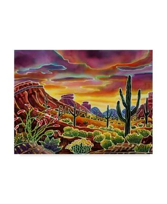 Harriet Peck Taylor 'Sonoran Desert Glow' Canvas Art