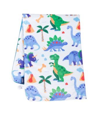 Dinosaur Land Plush Blanket