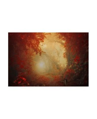 Ildiko Neer Personal Journey Canvas Art