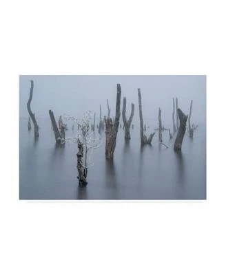 Piet Haaksma Frozen and Foggy World Canvas Art