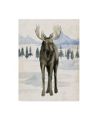 Grace Popp Alaskan Wilderness I Canvas Art