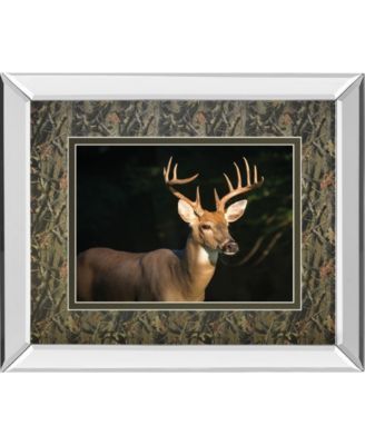White Tail Buck by Tony Campbell Double Matted Mirror Framed Print Wall Art - 34" x 40"
