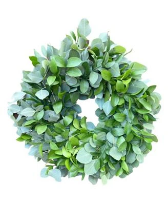 Fresh Dollar Eucalyptus and Ruscus Wreath, 20"