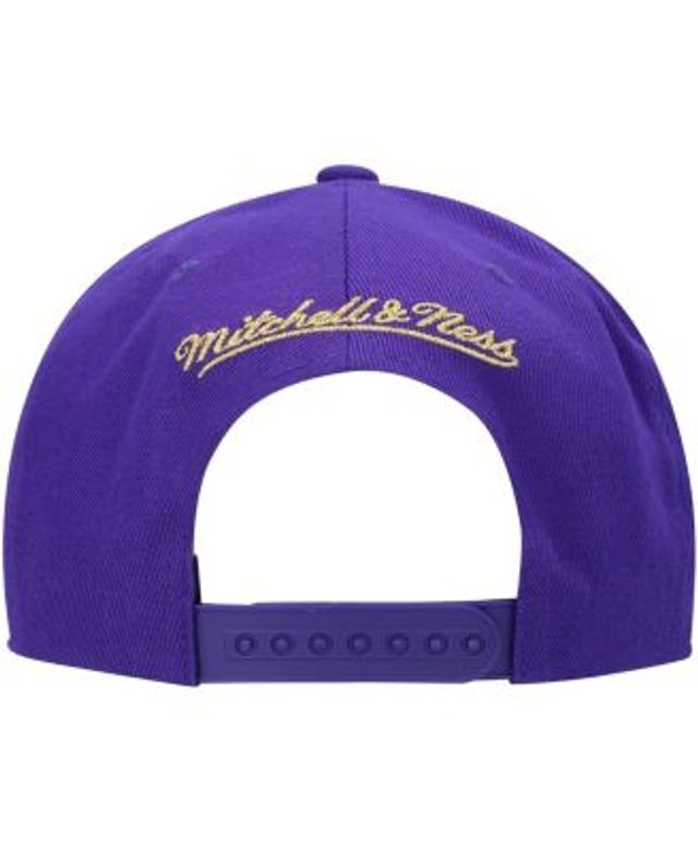 Men's Mitchell & Ness Purple Los Angeles Lakers NBA 75th Anniversary What The? Snapback Hat