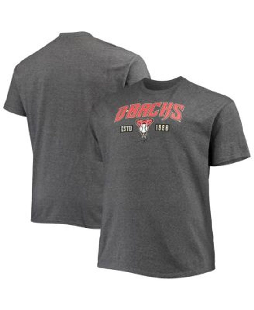 Lids Arizona Diamondbacks Nike Big & Tall Icon Legend Performance T-Shirt -  Black