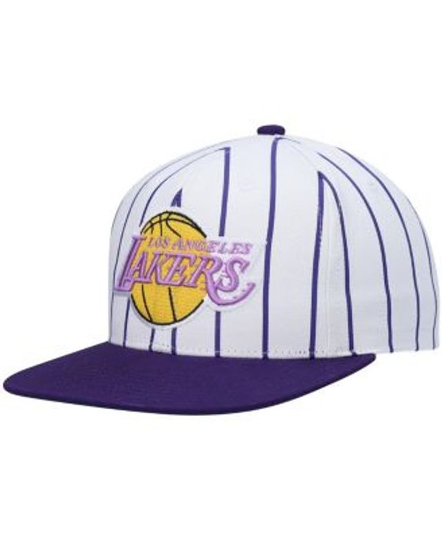 Men's Los Angeles Lakers Mitchell & Ness Purple Hardwood Classics  Earthquake Snapback Hat