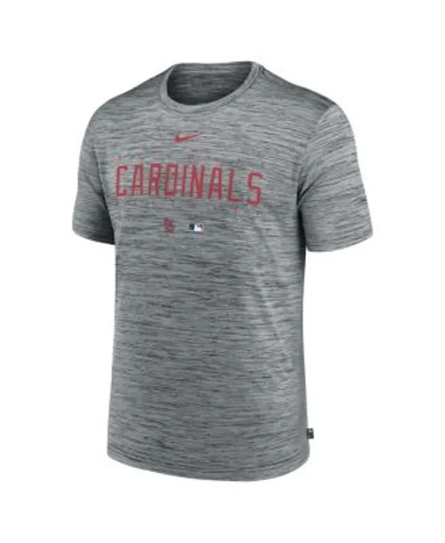St. Louis Cardinals Nike Authentic Collection Early Work Tri-Blend  Performance T-Shirt - Heather Red