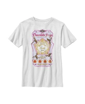 Boy's Harry Potter Chocolate Frogs  Child T-Shirt