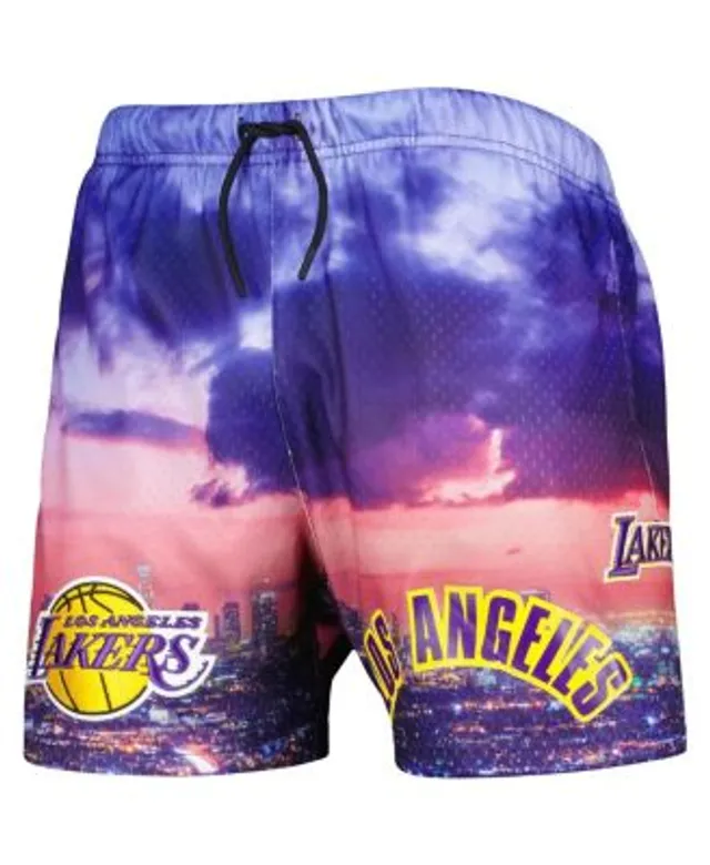 Men's Pro Standard Black Los Angeles Lakers City Scape Mesh Shorts