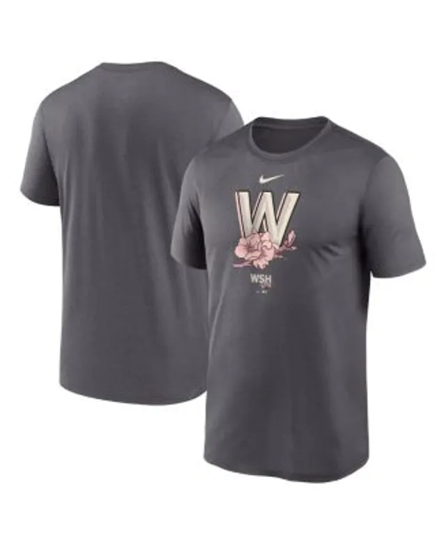 Nike Youth Washington Nationals Gray City Connect Graphic T-Shirt