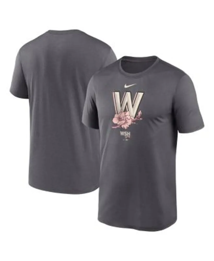 Men's Washington Nationals Nike Cream City Connect Wordmark T-Shirt