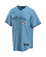 Vladimir Guerrero Jr. Toronto Blue Jays Nike Youth Alternate Replica Player  Jersey - Powder Blue