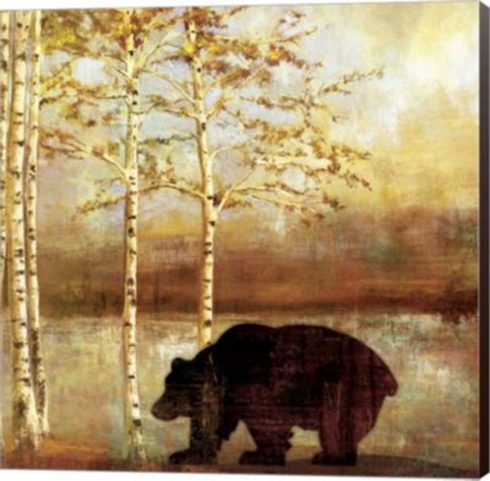 Great Bear By Posters International Studio Canvas Art