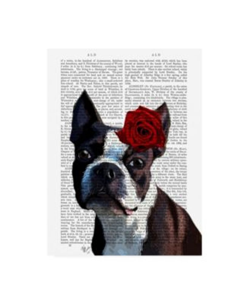 Trademark Global Fab Funky Boston Terrier with Rose on Head in Book Canvas  Art 