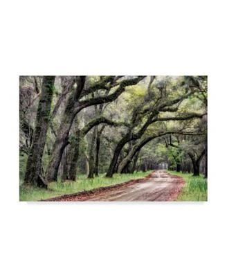 Danny Head Dirt Road II Canvas Art