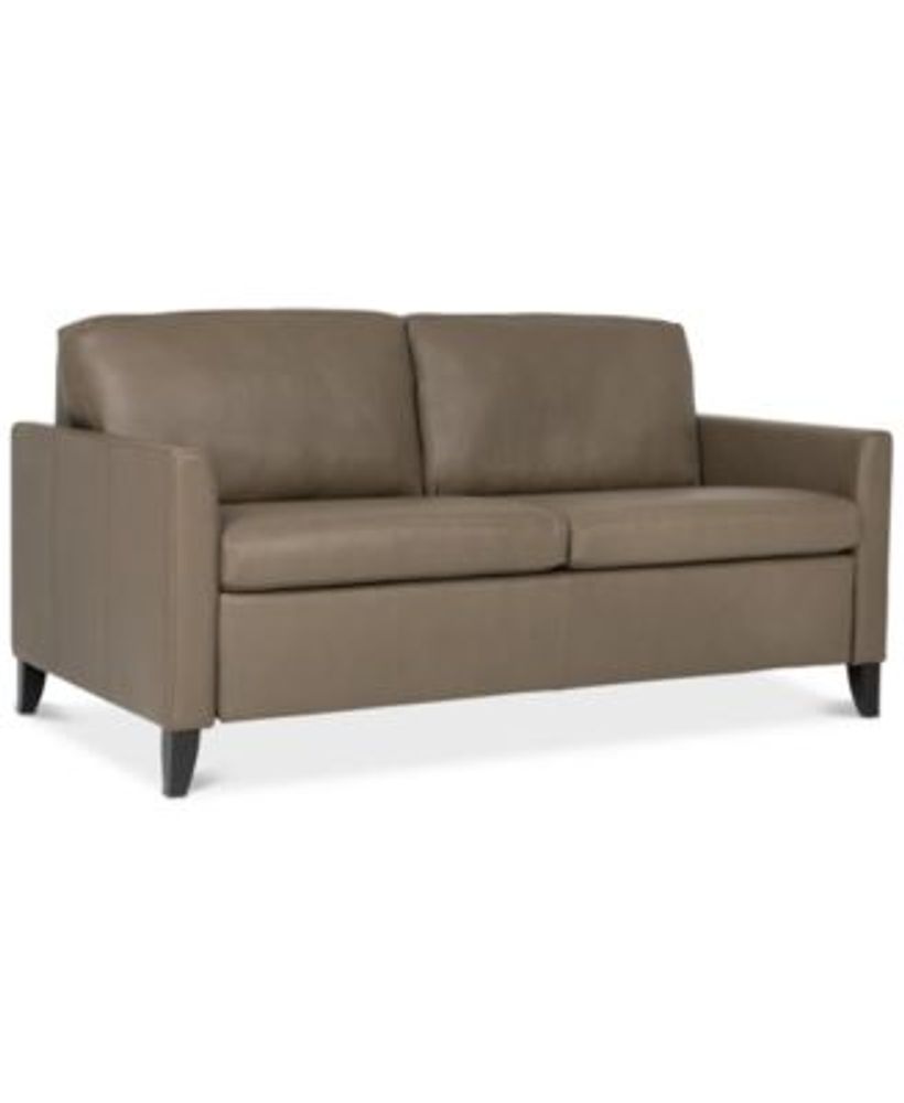 Priley 63" Leather Full Sleeper Sofa