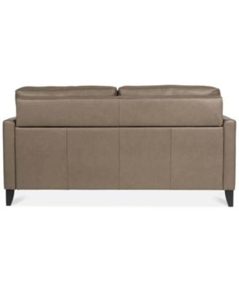 Priley 63" Leather Full Sleeper Sofa