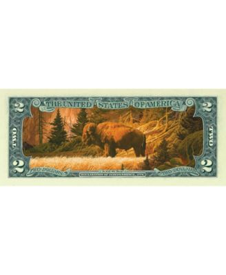 Two Dollar Bison Colorized Bill