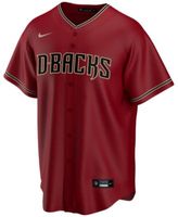 Nike Men's Arizona Diamondbacks Official Blank Replica Jersey