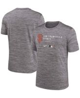 Nike Men's Gray San Francisco Giants City Connect Velocity