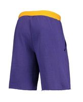 Men's LeBron James Purple Los Angeles Lakers Big & Tall French Terry Name &  Number Shorts