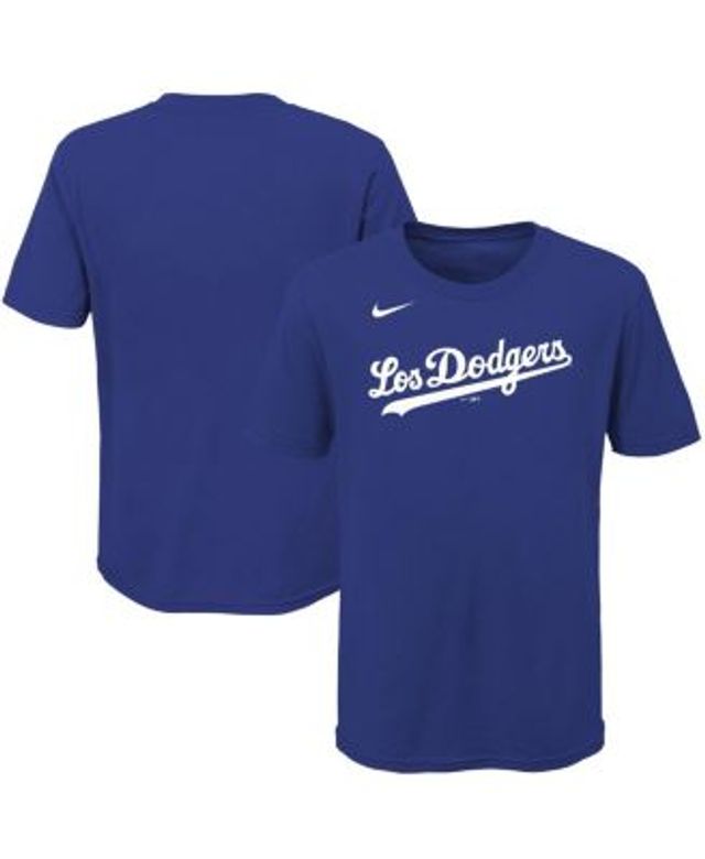 Nike Youth Los Angeles Dodgers City Connect Graphic T-Shirt - Royal - L Each