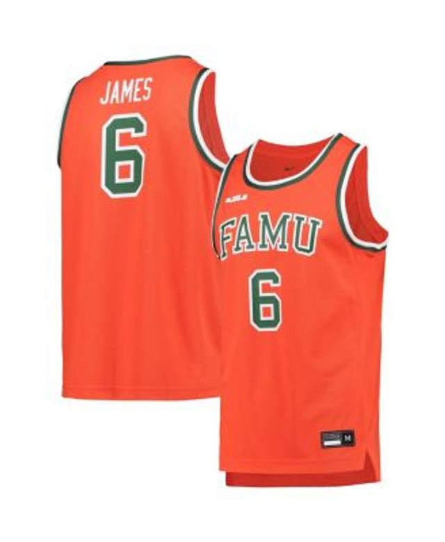 Youth Nike x LeBron James Heathered Gray Florida A&M Rattlers Basketball  T-Shirt