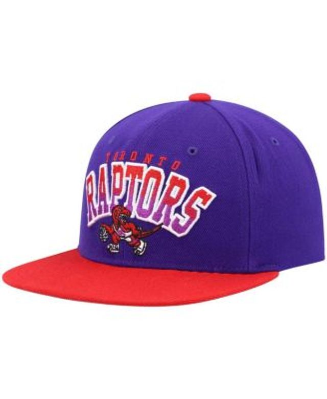 Lids Toronto Raptors Mitchell & Ness Hardwood Classics Sharktooth