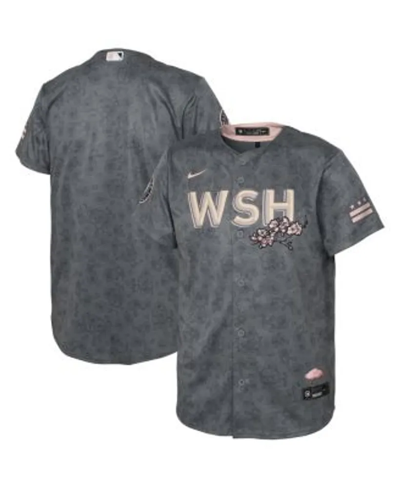 Nike Youth Boys Gray Washington Nationals 2022 City Connect Replica Jersey