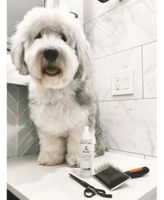The  Leave In  Conditioner For Dogs