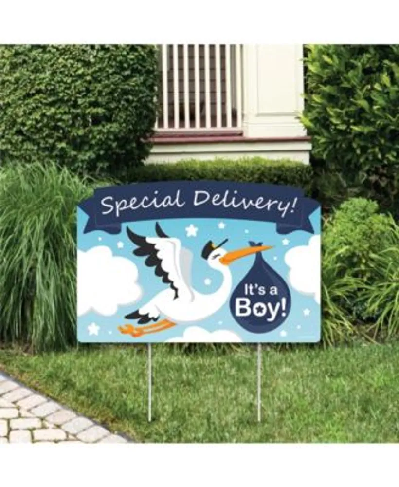 Special Delivery - Boy