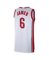 Men's Nike LeBron James Scarlet Ohio State Buckeyes Alumni Player Limited Basketball Jersey