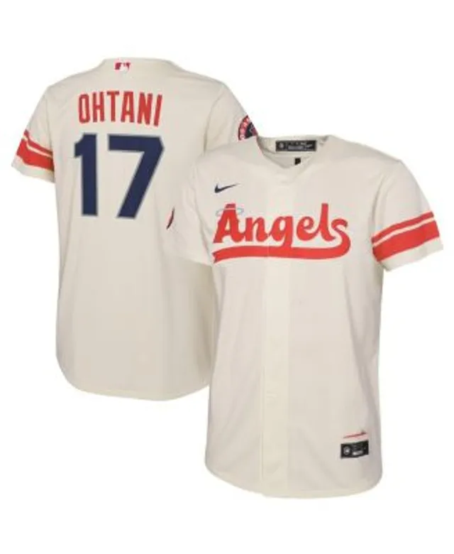 Toddler Washington Nationals Nike Gray 2022 City Connect Replica Jersey