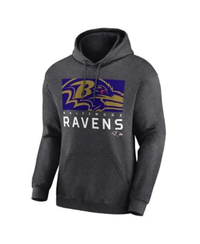 Authentic NFL Apparel Men's Minnesota Vikings Established Hoodie - Macy's