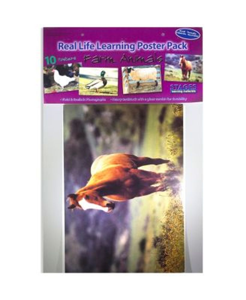 Real Photo Farm Animal Poster Set