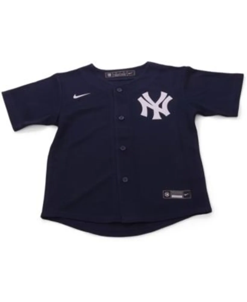 Nike Chicago Cubs Toddler Official Blank Jersey