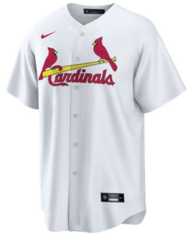 Youth Nike Nolan Arenado Light Blue St. Louis Cardinals Alternate Replica  Player Jersey