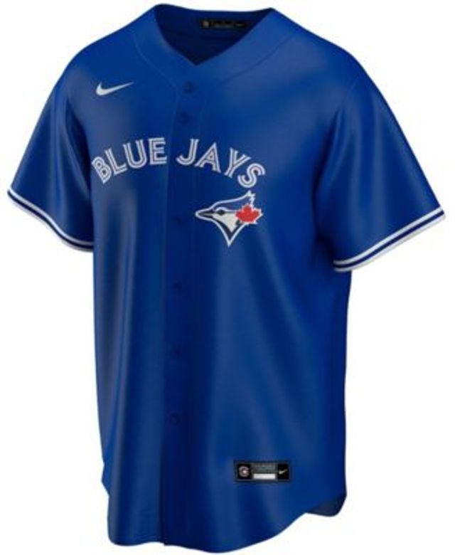 Matt Chapman Youth Toronto Blue Jays Powder Alternate Jersey - Blue Replica