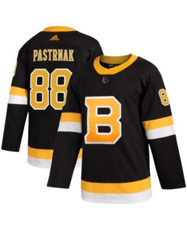 David Pastrnak Boston Bruins Fanatics Authentic Unsigned 2019 NHL Winter Classic Photograph