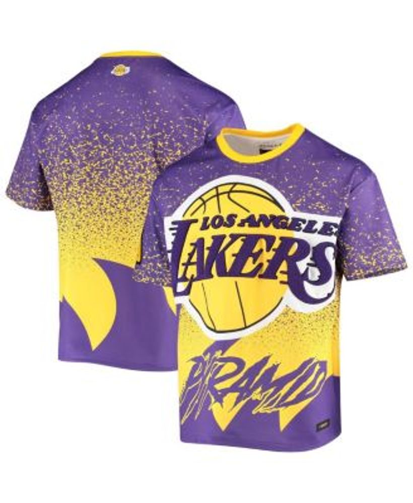 Men's Los Angeles Lakers Pro Standard Black City Scape T-Shirt