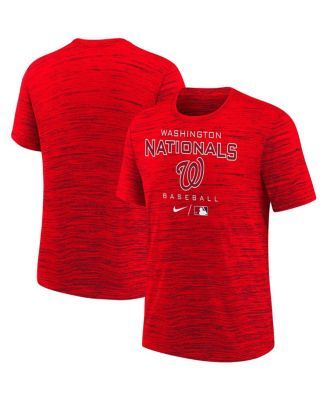 Men's Nike Red Washington Nationals Authentic Collection Legend Team Issued  Performance T-Shirt