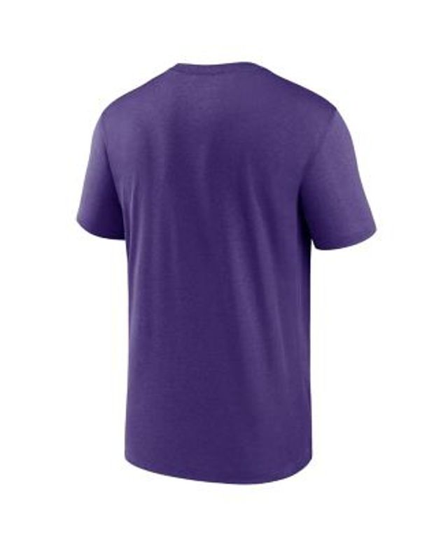 Minnesota Vikings Nike Sideline Playbook Travel Legend Performance Long  Sleeve T-Shirt - Purple