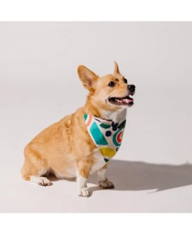 Philadelphia 76ers Dog Bandana 