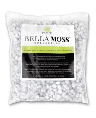 Syndicate Sales Bella Moss Preserved Forest Bulk Moss, Green